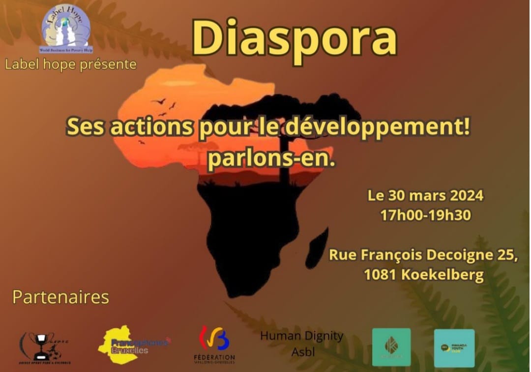 Diaspora africaine, ses actions pour le développement – Parlons en !